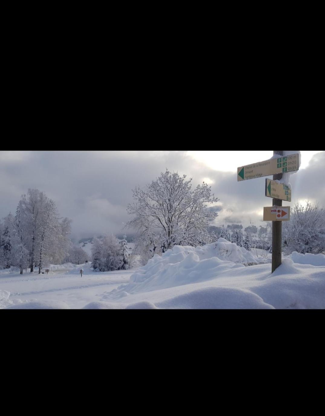 Studio Porte Du Mont Blanc Combloux Aux Pieds Des Pistes المظهر الخارجي الصورة